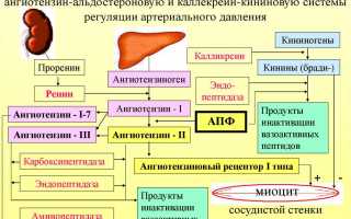 Лечение гипертонии при брадикардии — какие лекарства принимать?