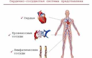 Группы препаратов для лечения мужской импотенции