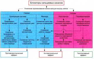 Кордафен препарат нового поколения группы блокаторов