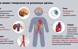 Самые эффективные народные средства от повышенного давления